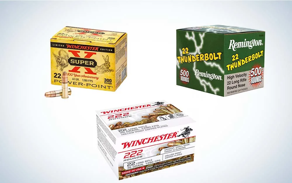 .22 long rifle ammo collage, best varmint cartridges