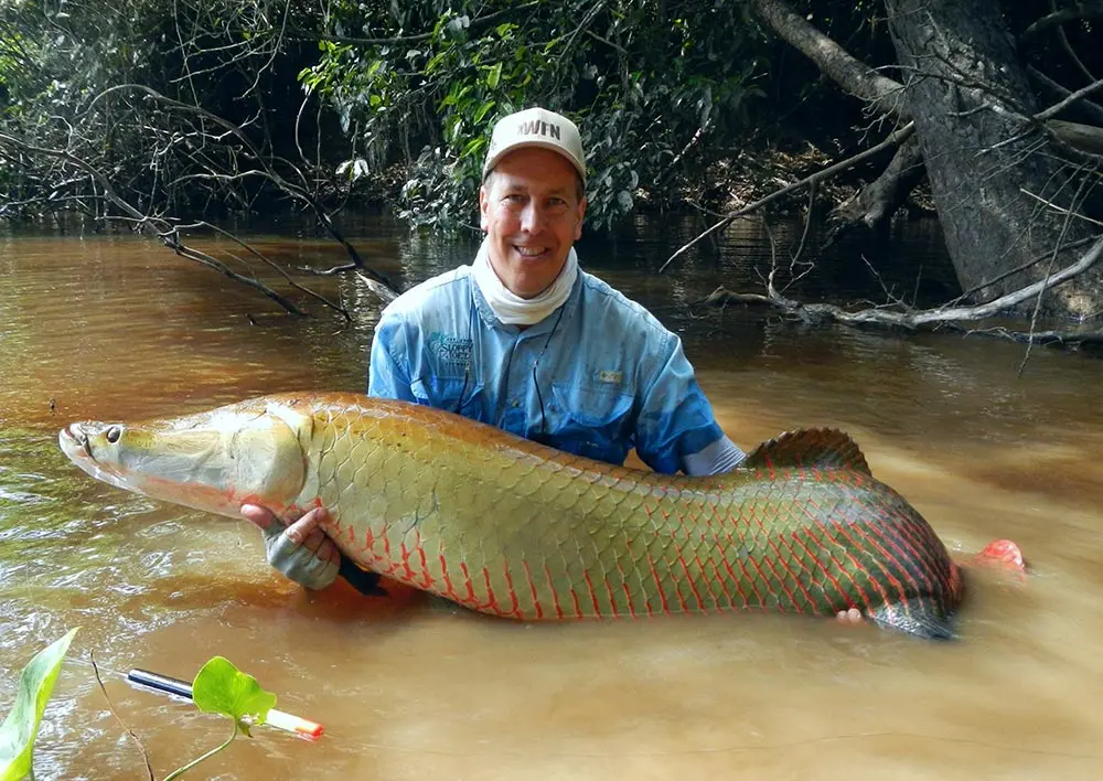 male angler holding a south american arapaima