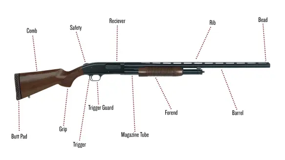 Shotgun on white background with parts laid out.