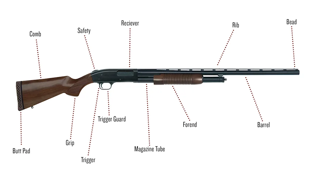 What are the Components of a Shotgun? Essential Guide