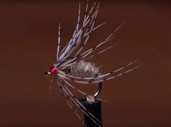 a Holy Grail Caddis Emerger