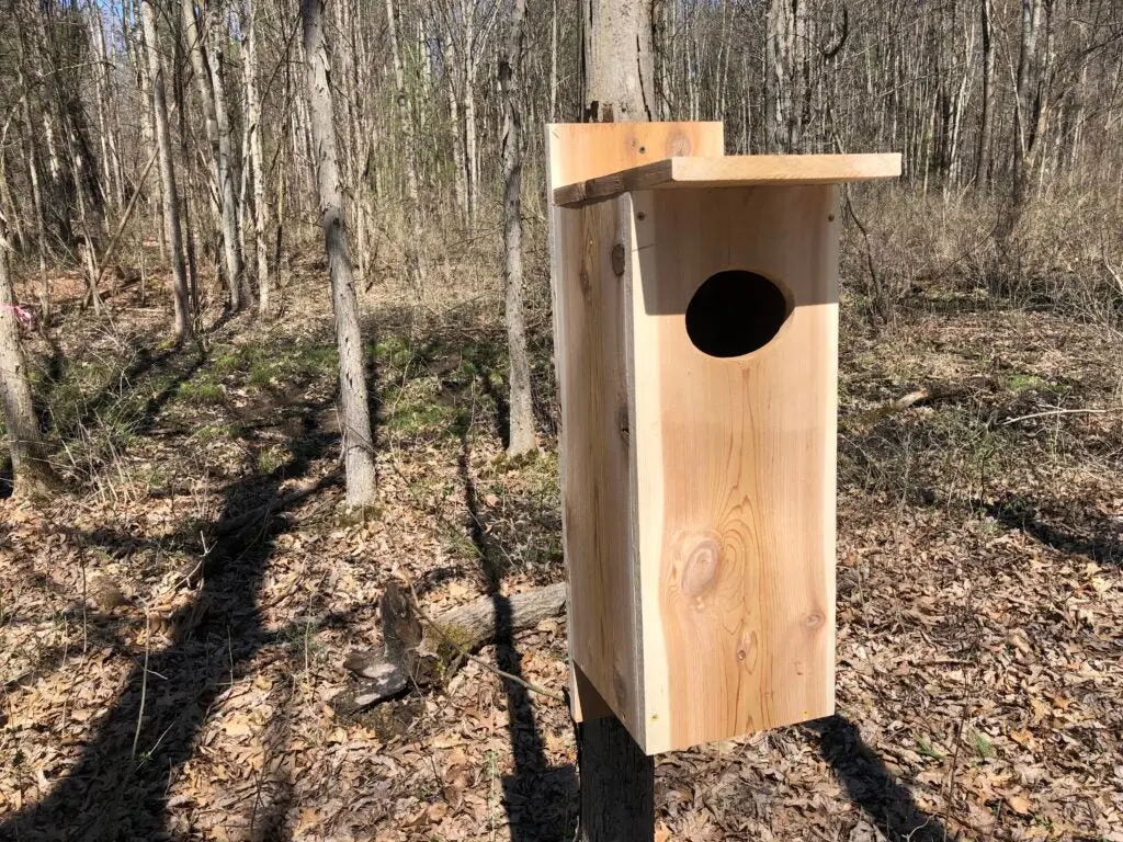 photo of wood duck box