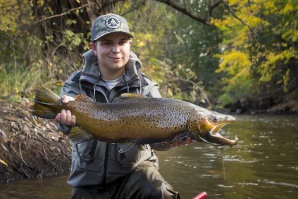 Angler holds up big brown trout while kneeling in a river