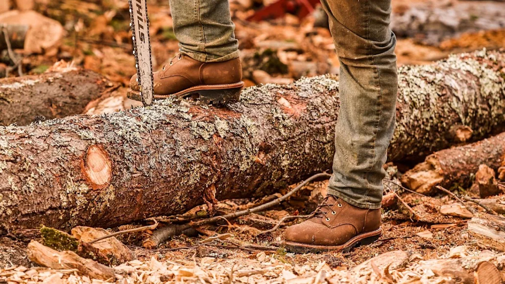 Logger wearing Chippewa logging boots standing on felled tree