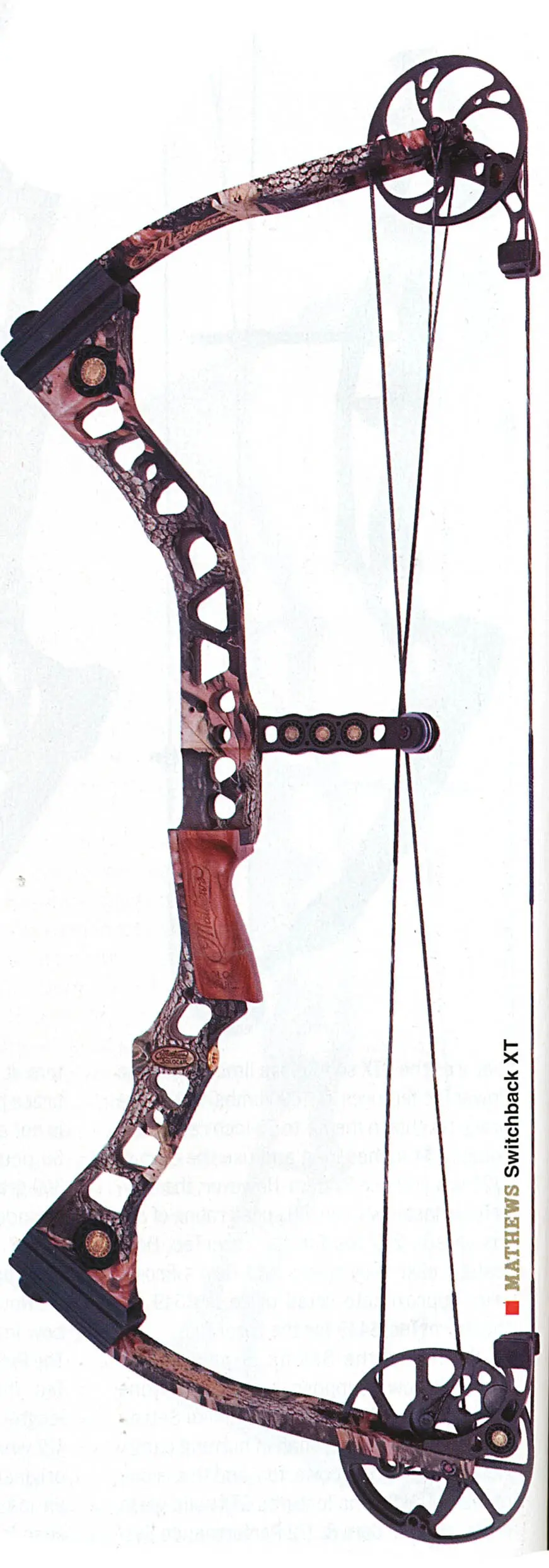 Compound Bows photo