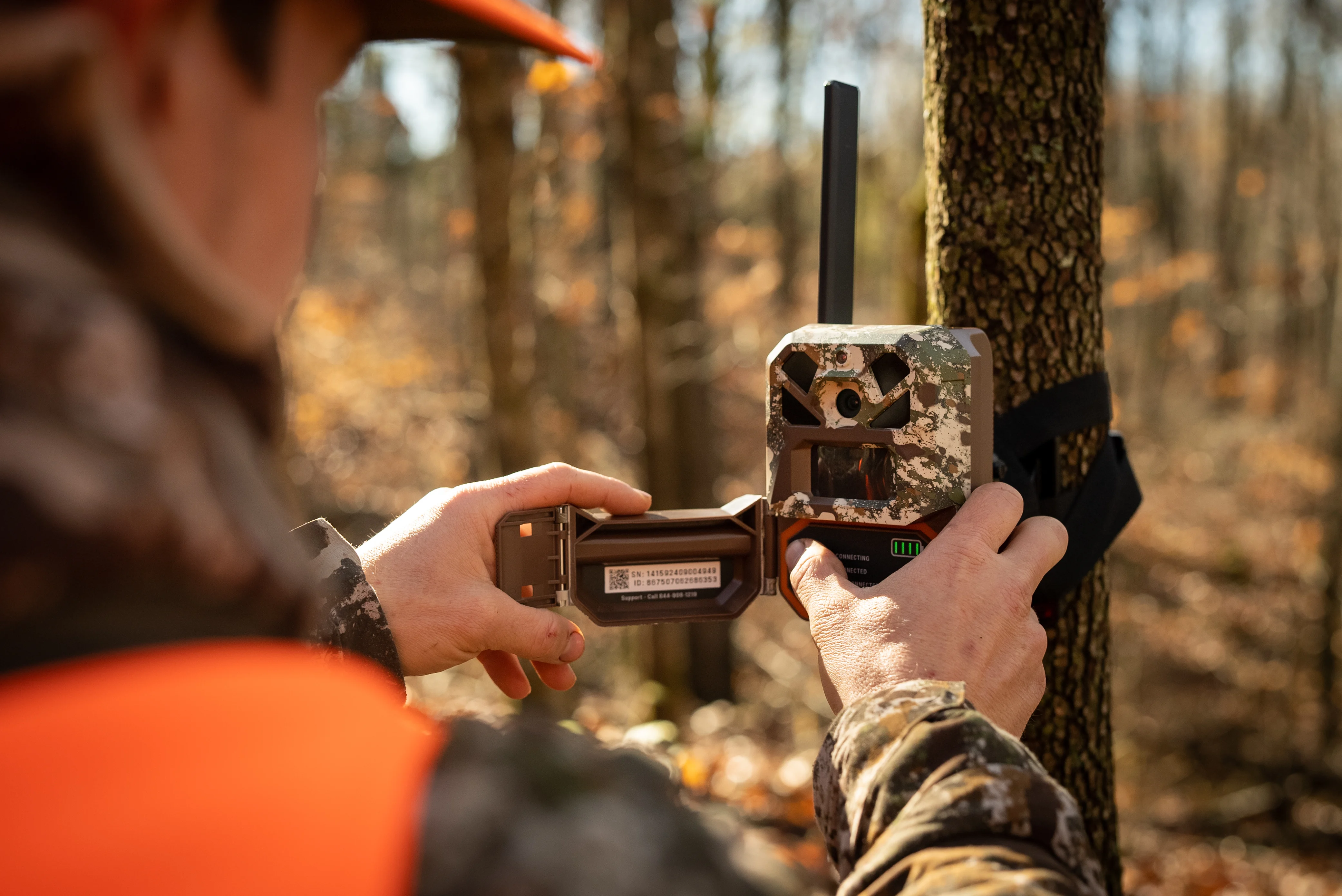 A hunter sets up a trail camera on a tree in the woods.