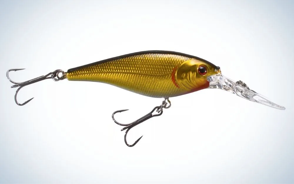 Berkley Flicker ShadÂ is the best walleye lure on a budget.