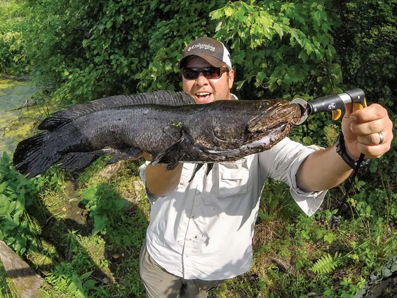 snakehead fishing teaser