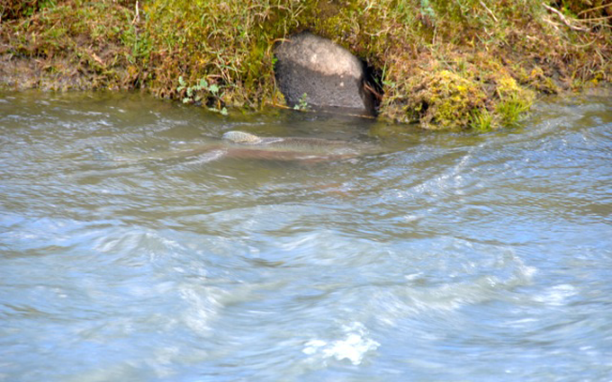 httpswww-fieldandstream-comsitesfieldandstream-comfilesimport2015dsc_0222-2-1-png