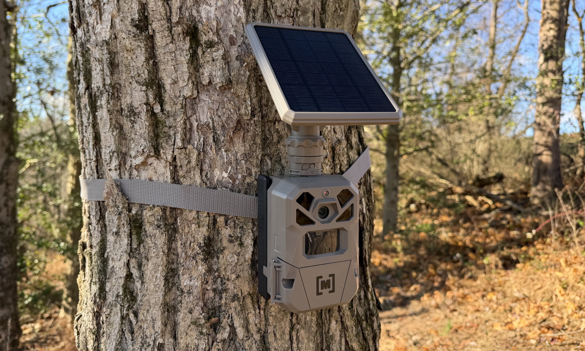 Moultrie Edge Solar Trail camera on tree