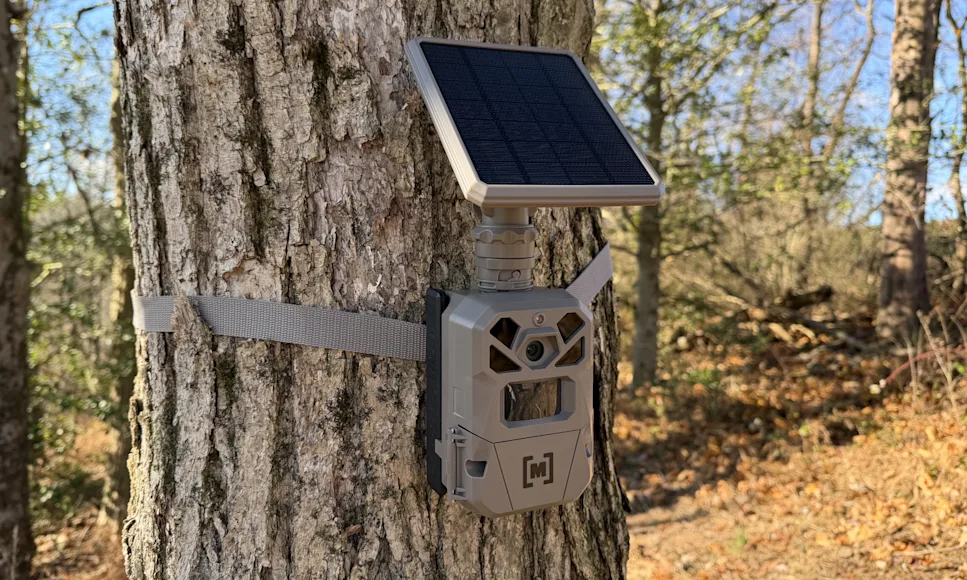Moultrie Edge Solar Trail camera on tree