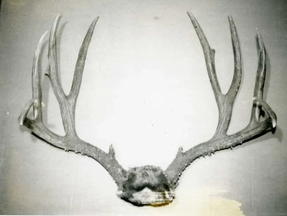 A record Idaho mule deer rack. 