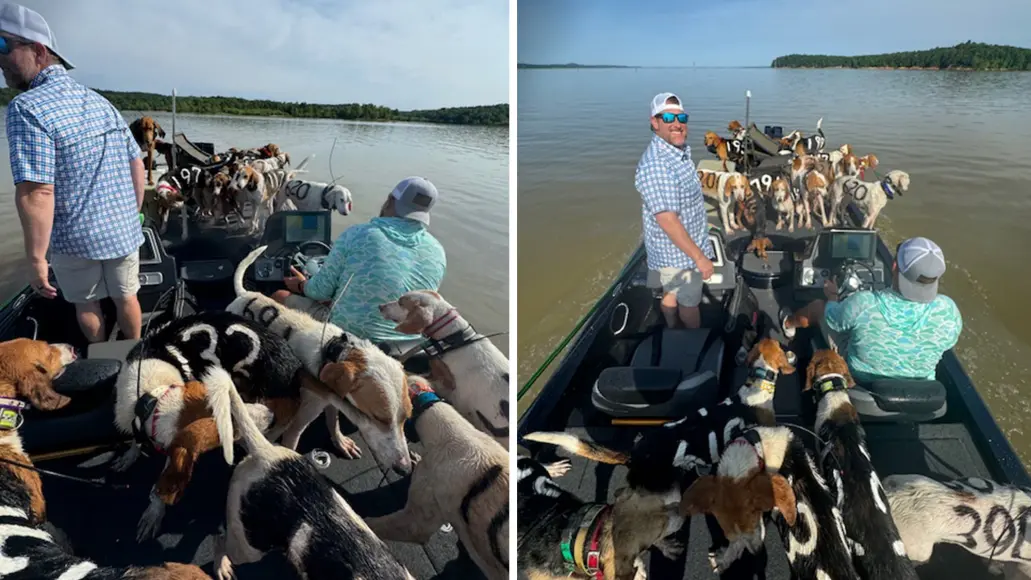 Two fishermen in a boat with dozens of dogs they rescued from a Mississippi lake.