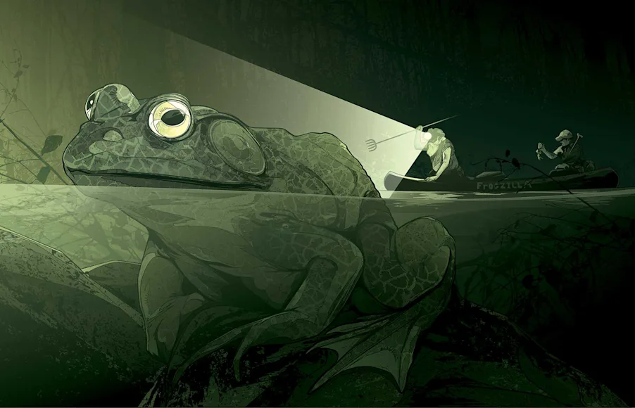 frog hunting, tips on catching frog, how to hunt for frogs, catching bullfrogs