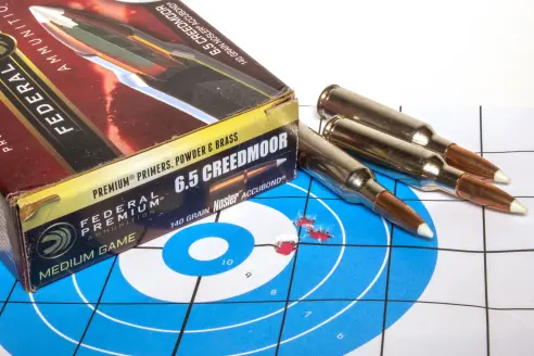 Rifle ammunition on a target with holes in it.