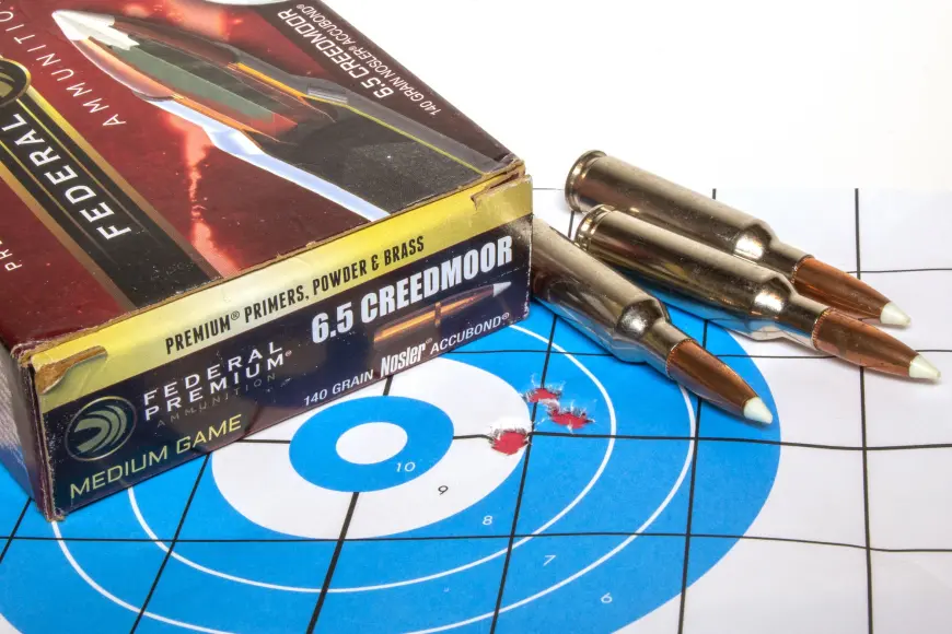 Rifle ammunition on a target with holes in it.