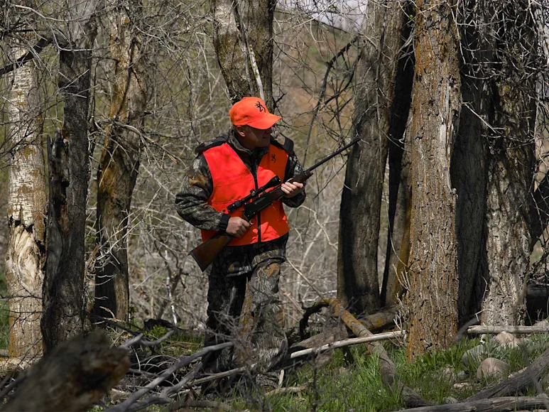 A hunter in camo and orange holding a rifle in the woods.