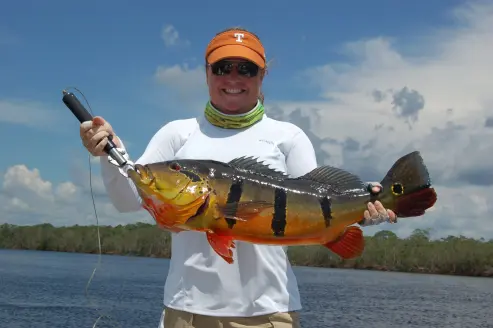 Angler holds a peacock bass