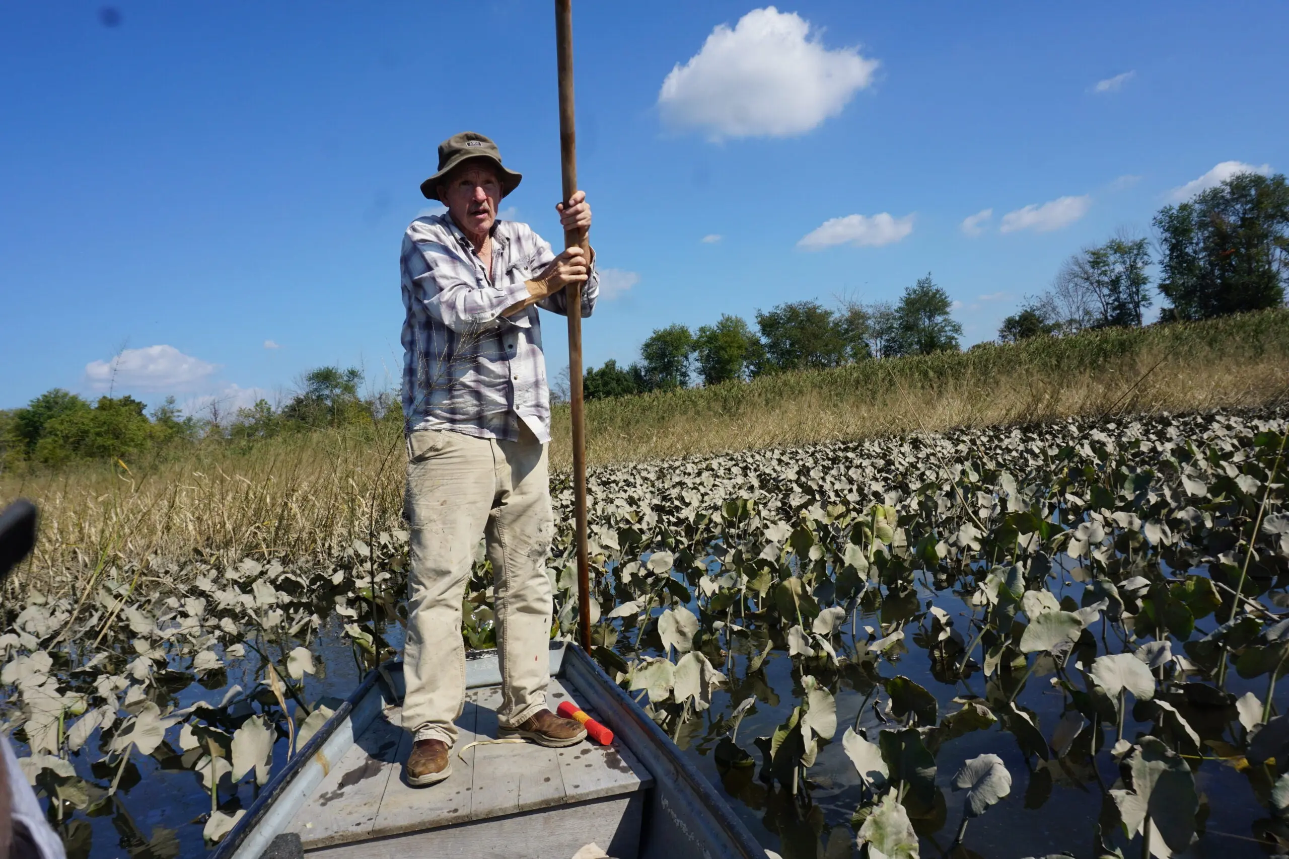 Man poling a canoe through a shallow-water marsh