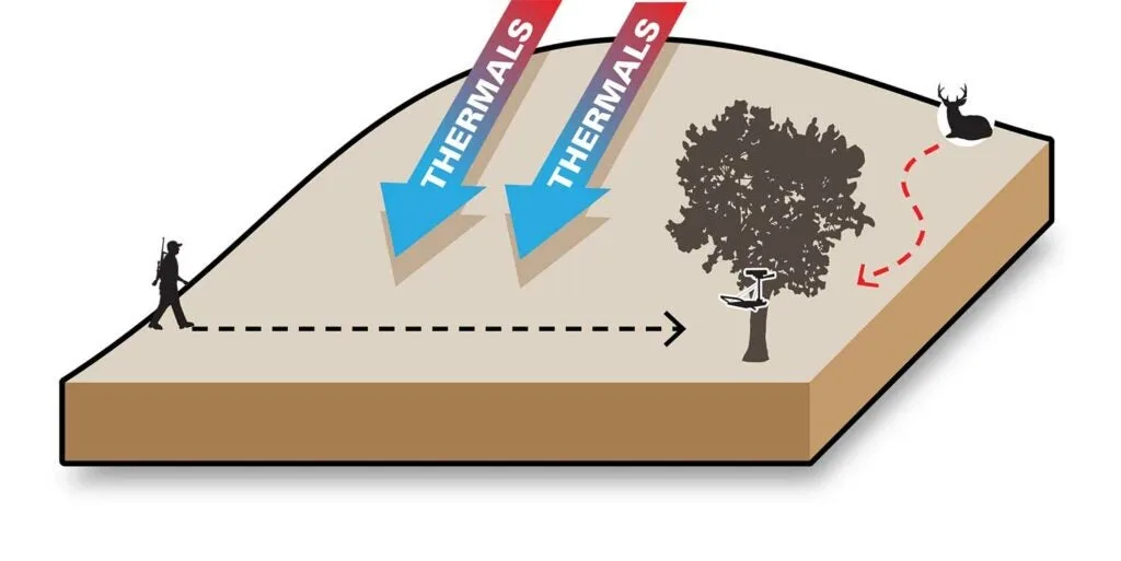 illustration of wings and hill thermals