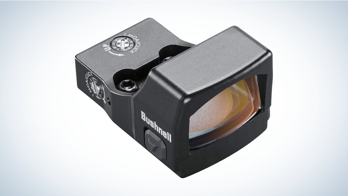 Bushnell RXS250 Reflex Sight on gray and white background