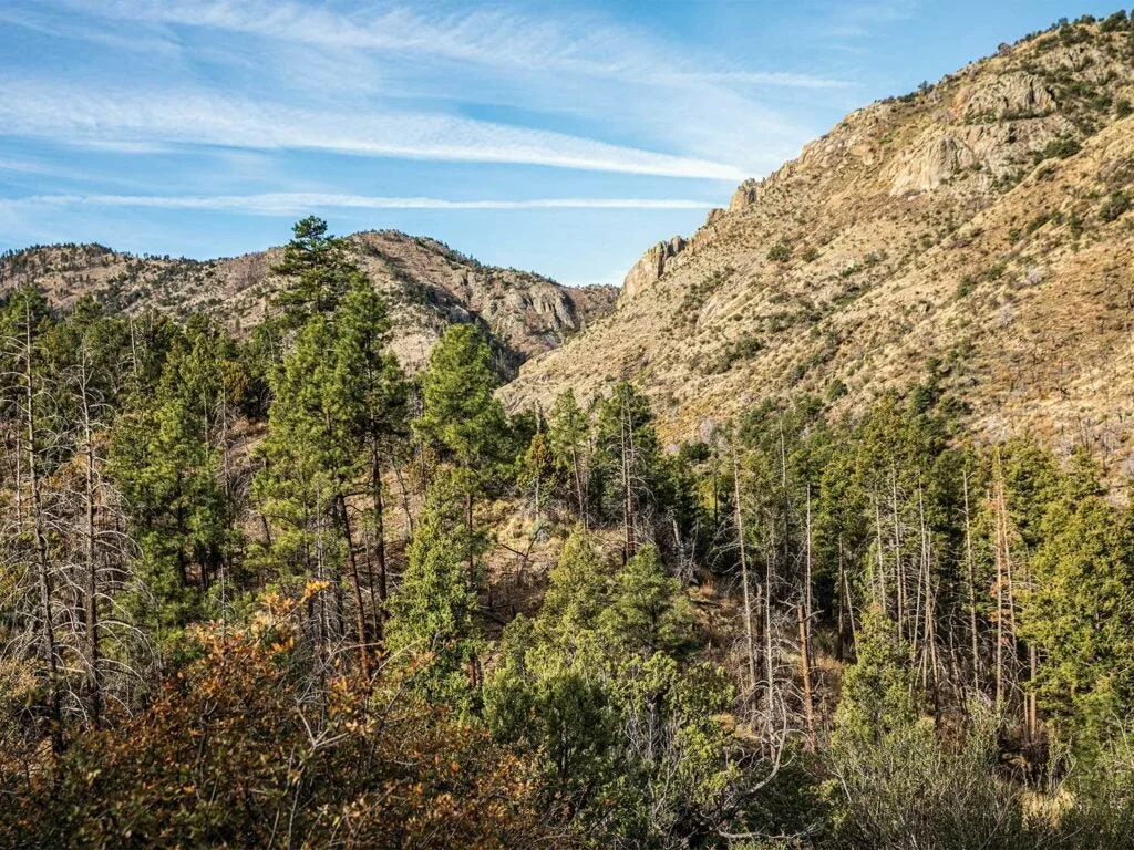 A mountain range in the Aldo Leupold Wilderness.