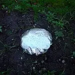 httpswww-fieldandstream-comsitesfieldandstream-comfilesimport2015131158310_772e9c5ffc_q-jpg