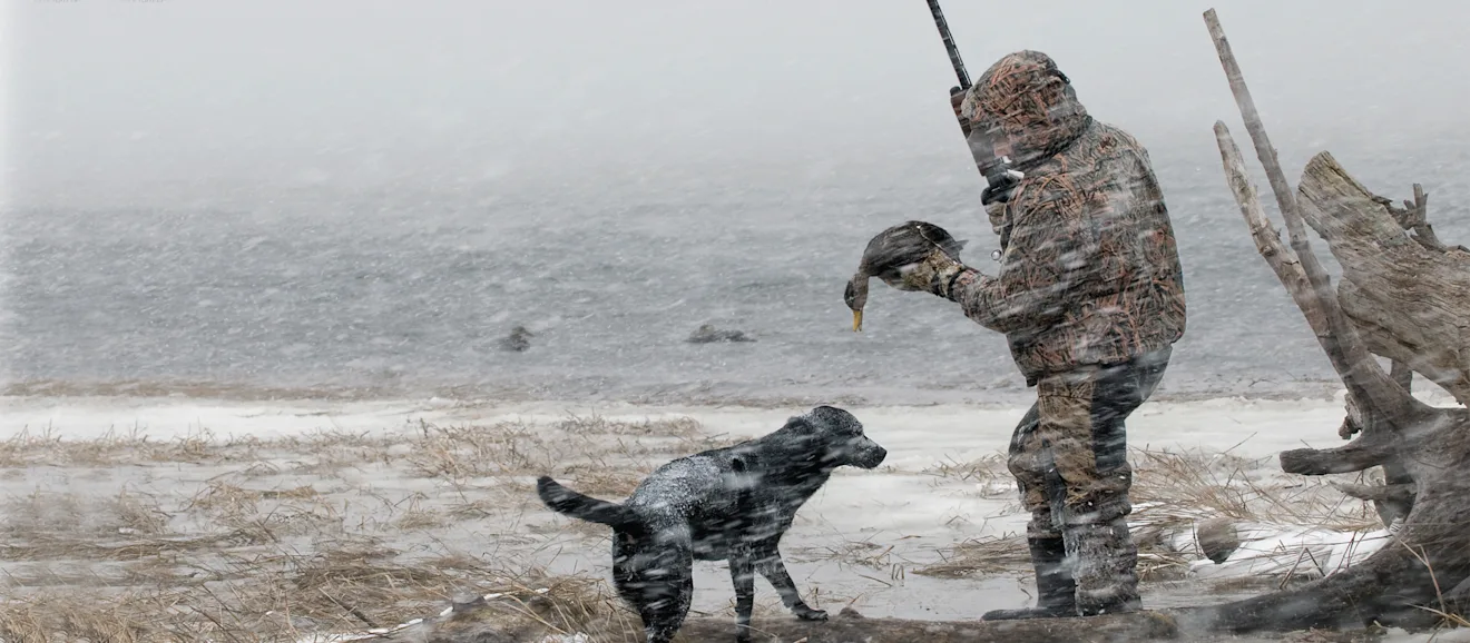 A duck hunter holds a black duck taken during a snowstorm, with his black lab nearby.