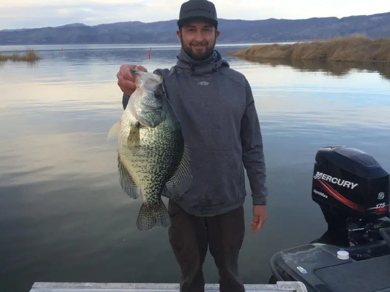 A crappie fisherman shows a near world record crappie.