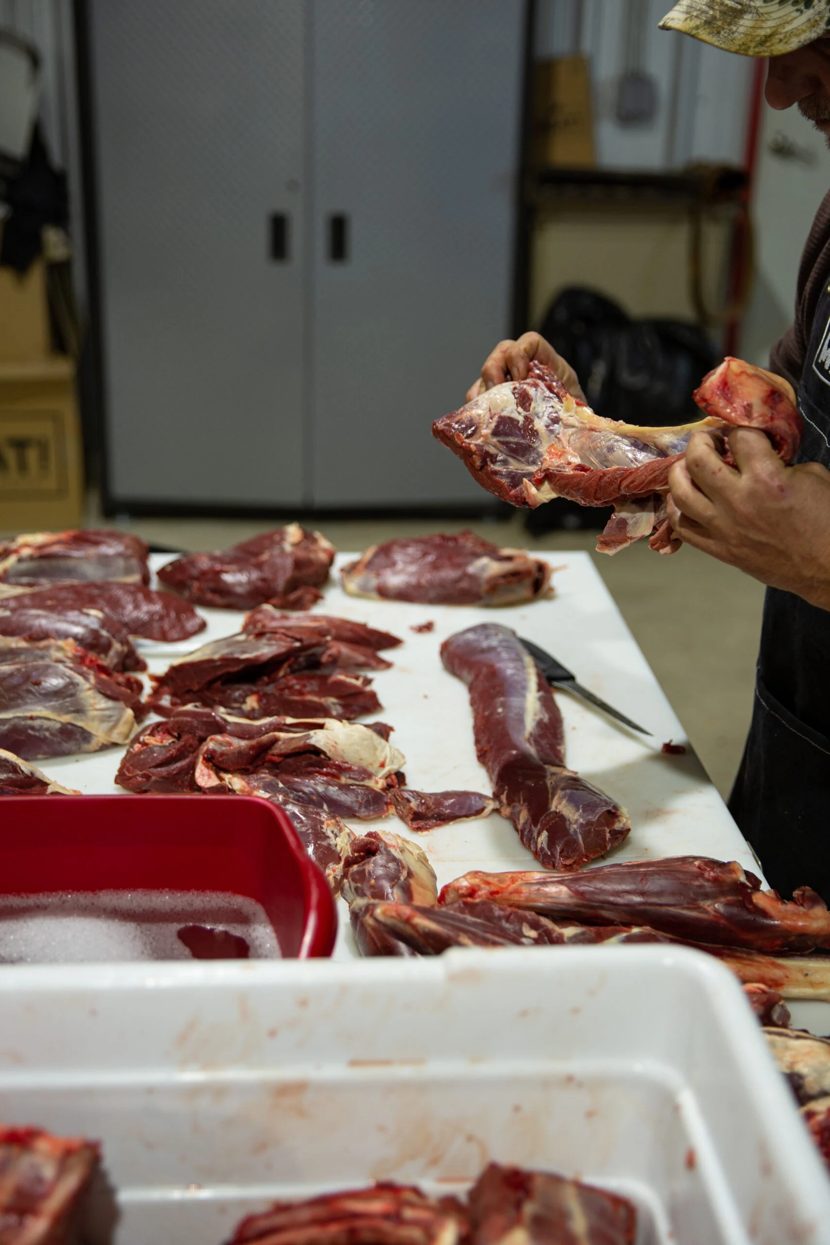 A person trims silver skin from venison roasts.