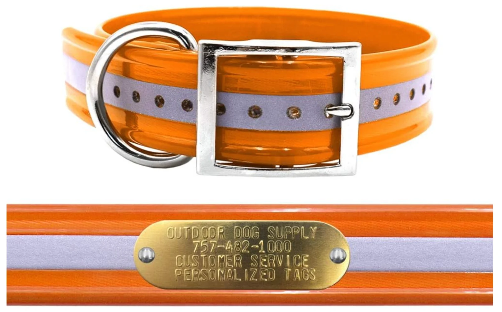 Personalized Dog Collar 