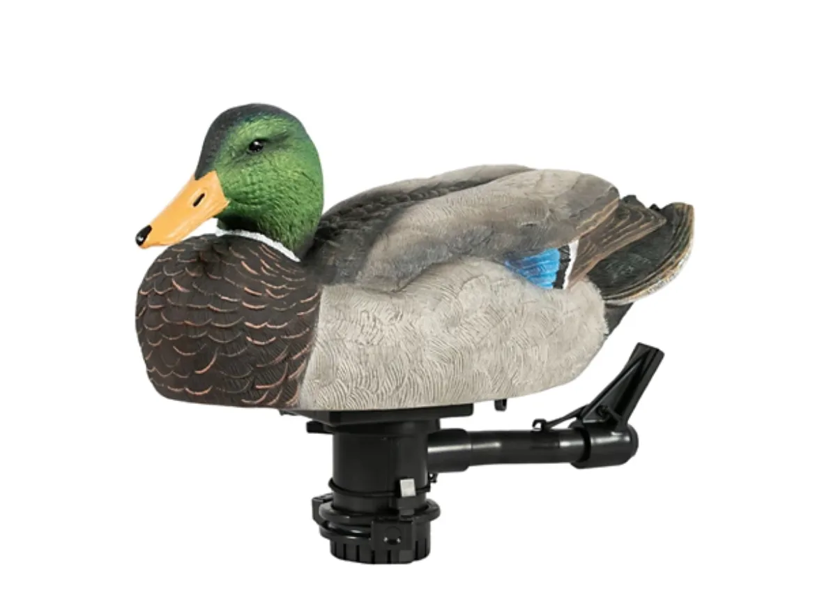 Lucky Duck HDI Super Swimmer 2.0