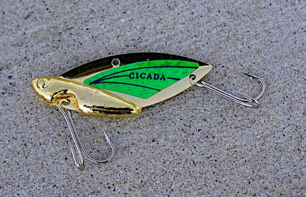 Reef Runner Cicada Lure sitting on table