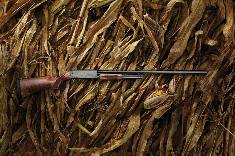 An Ithaca Model 37 shotgun resting on corn stalks. 