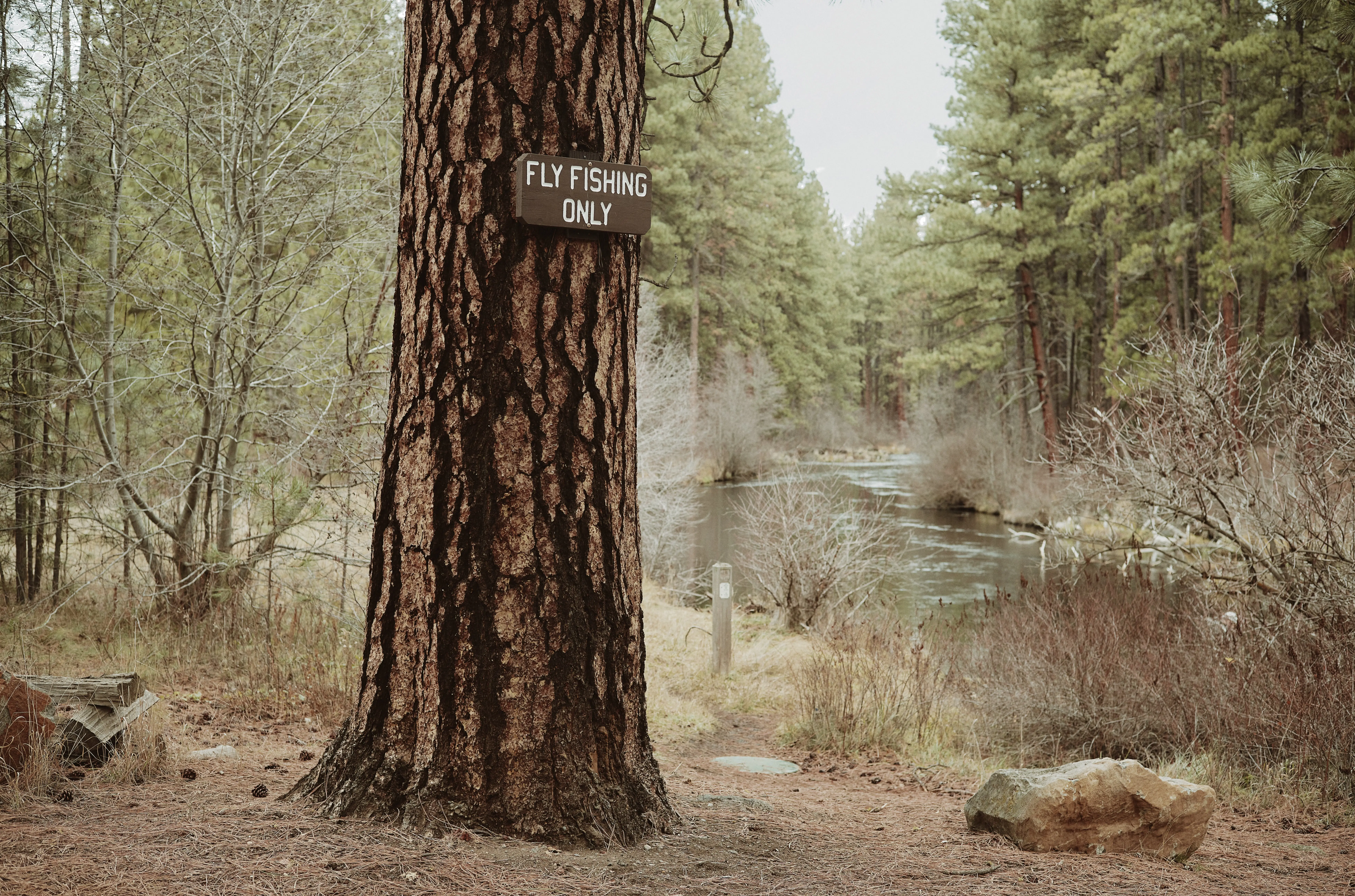 Eben Pindyck and Volker Oakey go fly fishing at the Metolius River in Camp Sherman, Oregon on November 27, 2021.