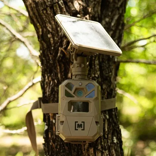 Moultrie Edge Solar trail camera on tree