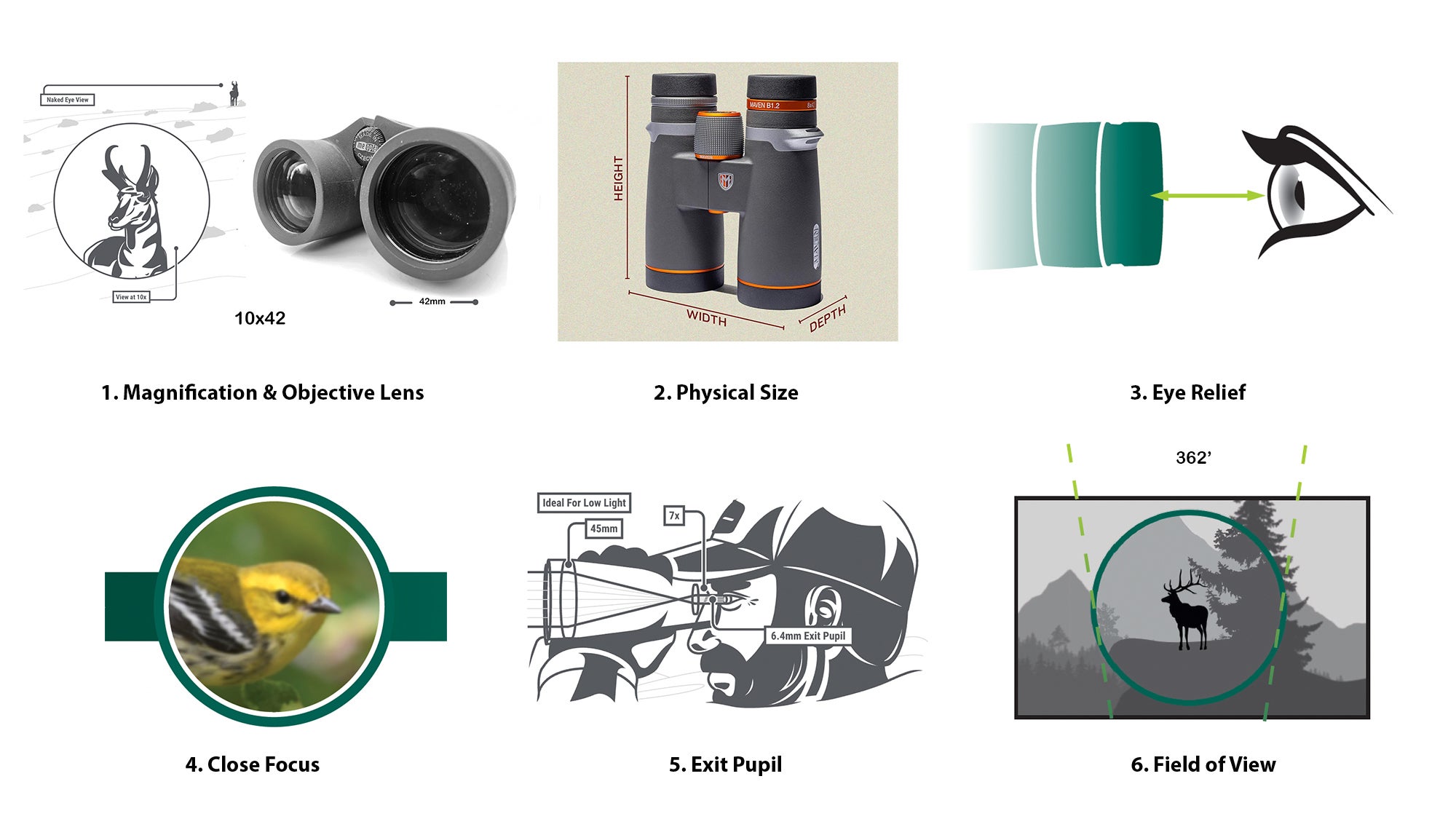 Binoculars shops measurement meaning