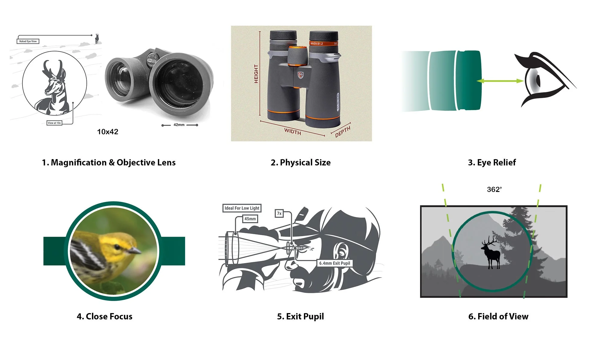 photo illustration of what binocular numbers mean