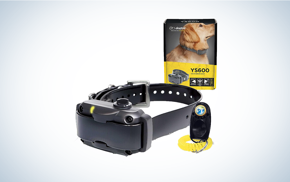 Best dog training collar 2018 best sale