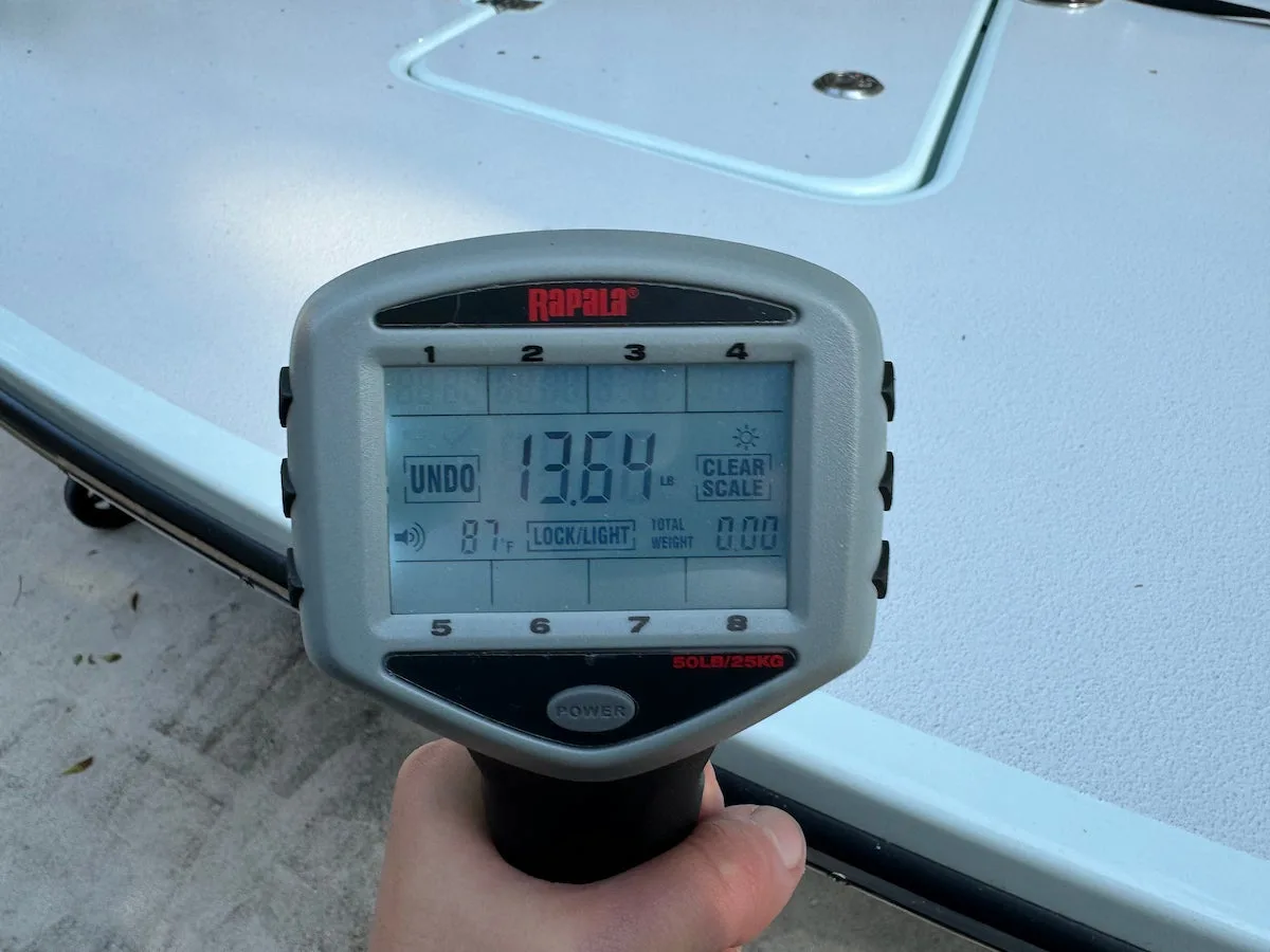 Close-up of Rapala touchscreen fish scale