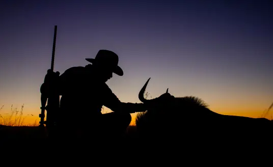 Hunter admiring a wildebeast in africa.