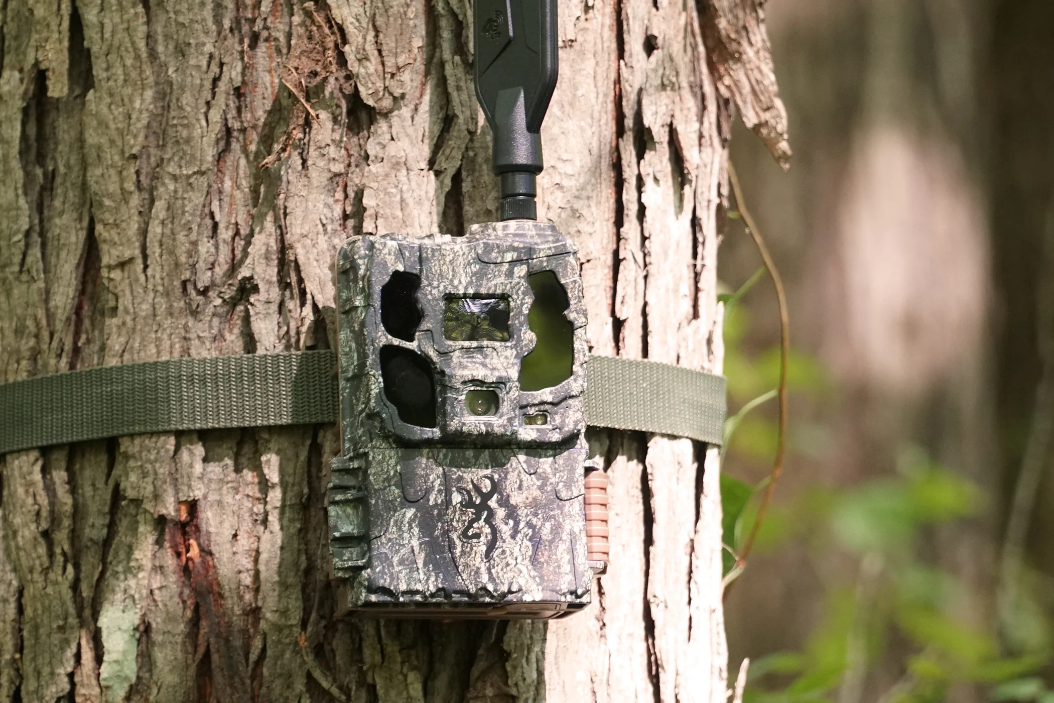 The new Browning Defender Pro Scout Max HD cellular trail camera on a tree. 