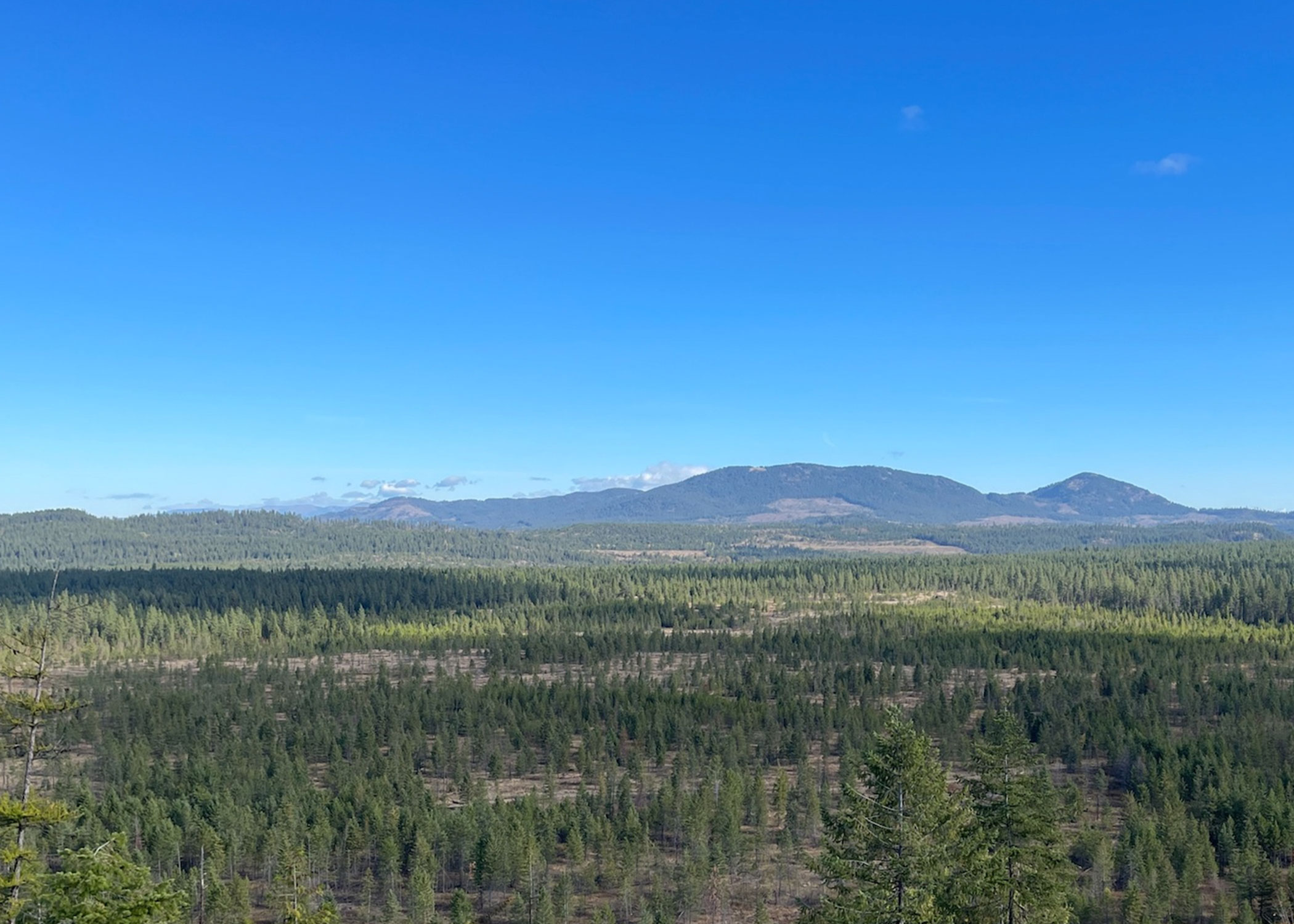 An aerial view of a tract of state-owned land in Idaho. 