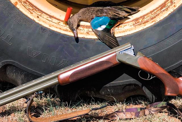 A bluewing teal on a tractor tire with the Cz Redhead All Terrain shotgun nearby. 