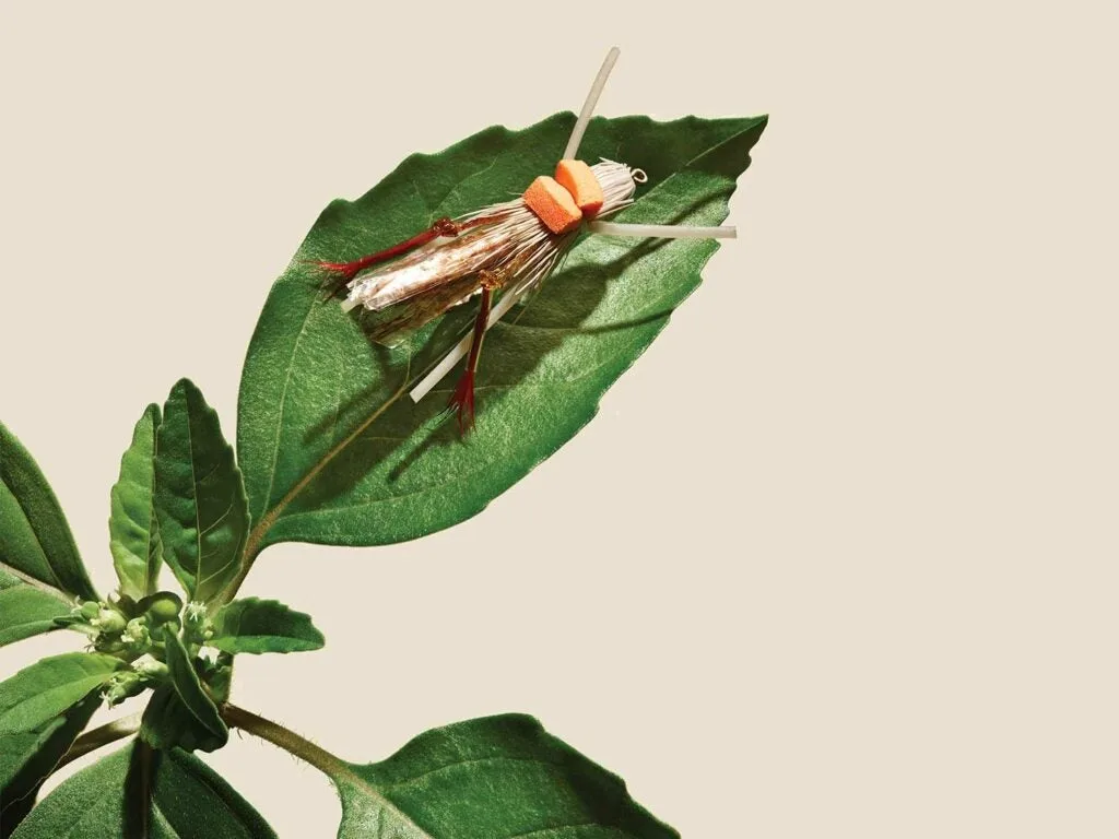 fly fishing bug on a leaf