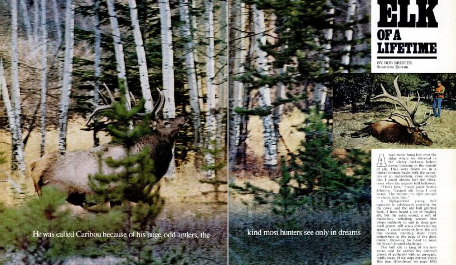 Elk hunting story in Field & Stream