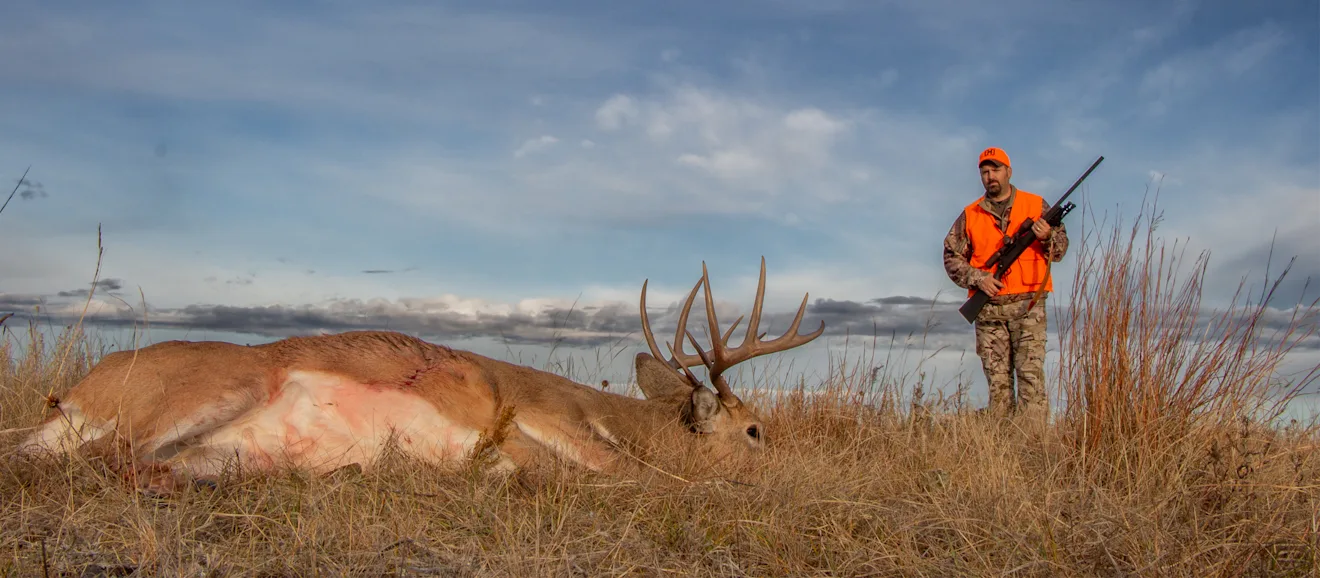A hunter with a rifle walks up on a big whitetail buck lying on the ground.