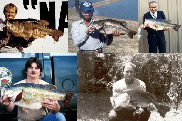 Anglers pose with state record bass. 