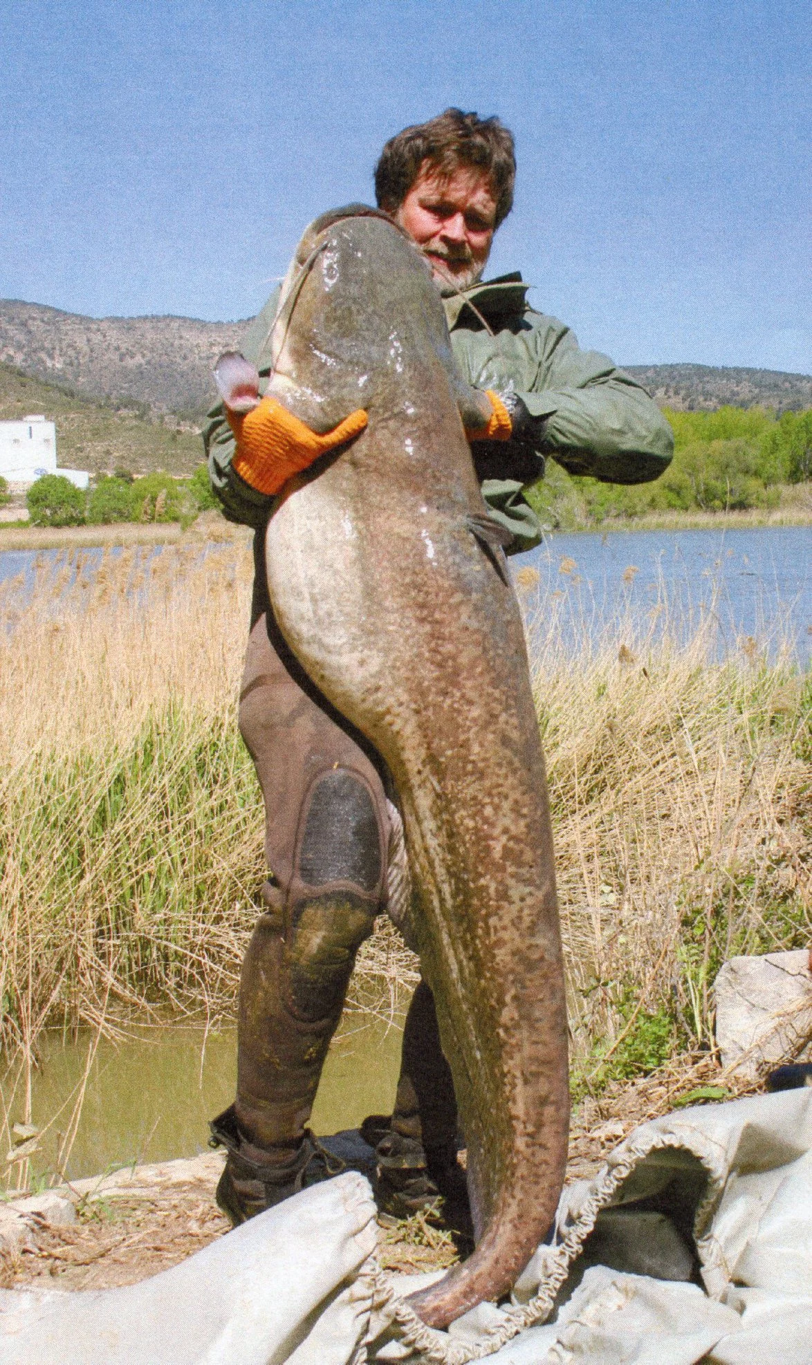 An angler poses with a world record wels catfish.