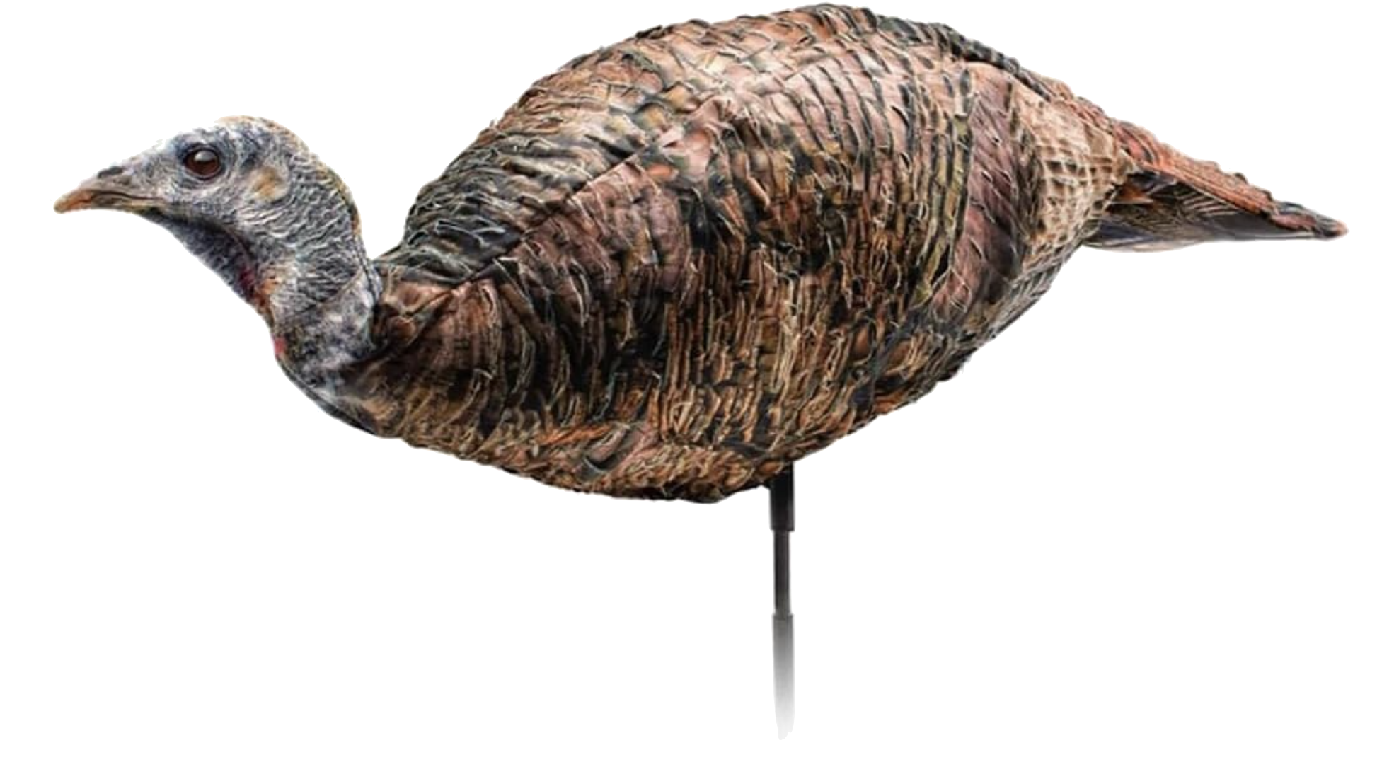 Montana Decoy Miss Purr-FECT XD Hen Decoy